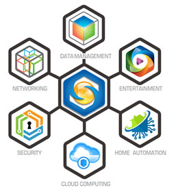 Infographic for Spidertec Solutions